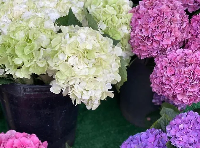 Apartamento Center With Free Private Parking *