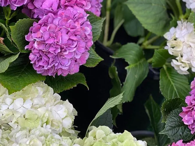 Apartamento Center With Free Private Parking York