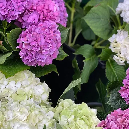 Appartement Center With Free Private Parking York